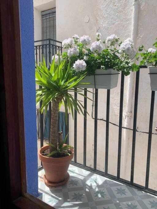 Casa Ziba Casco Antiguo Wifiaa Διαμέρισμα Peñíscola Εξωτερικό φωτογραφία