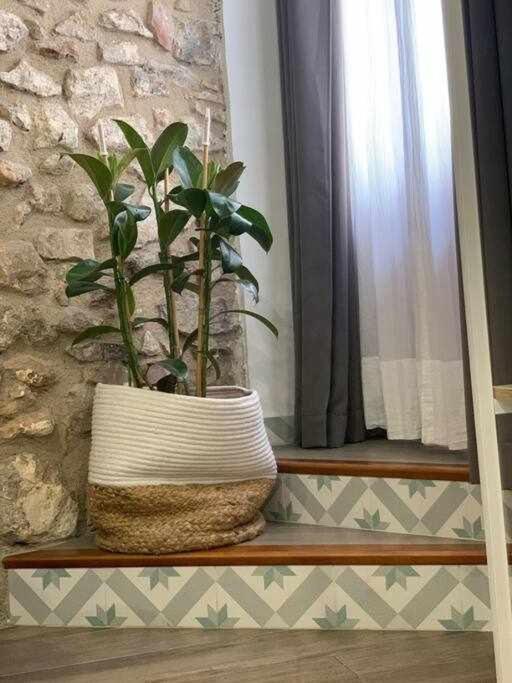 Casa Ziba Casco Antiguo Wifiaa Διαμέρισμα Peñíscola Εξωτερικό φωτογραφία
